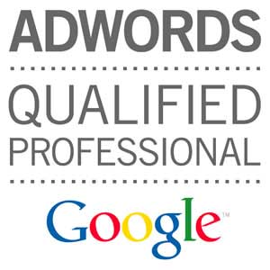 Qualifié Professionnel Adwords